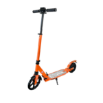 8 Inch Two-Wheel Electric Folding Scooter Smart Electronic Type