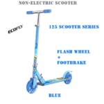 ECOFLY 125 Series Foldable Steel Kids Kick Scooter - Double Brakes & Flash Wheels