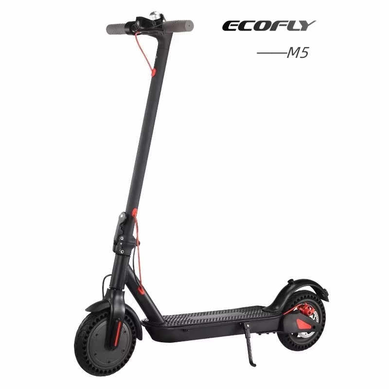 ECOFLY M6 Foldable Electric Scooter – 36V 350W Adult E-Scooter (10Ah Battery)